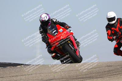 media/Oct-06-2025-2WTD (Mon) [[90522c3a0b]]/B Group/1120am (Grapevine)/